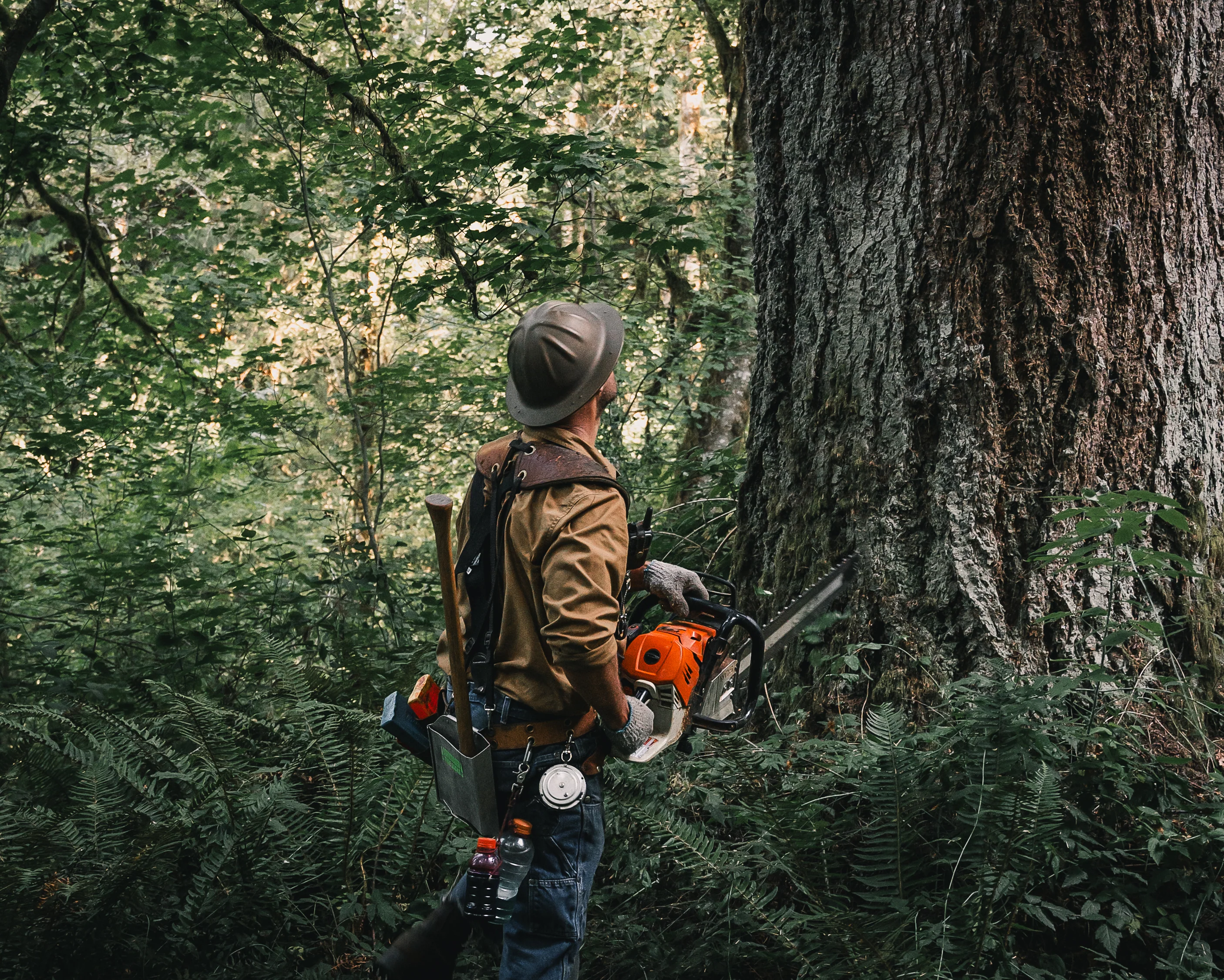 Bark Box® Muffler Cover - Image 11