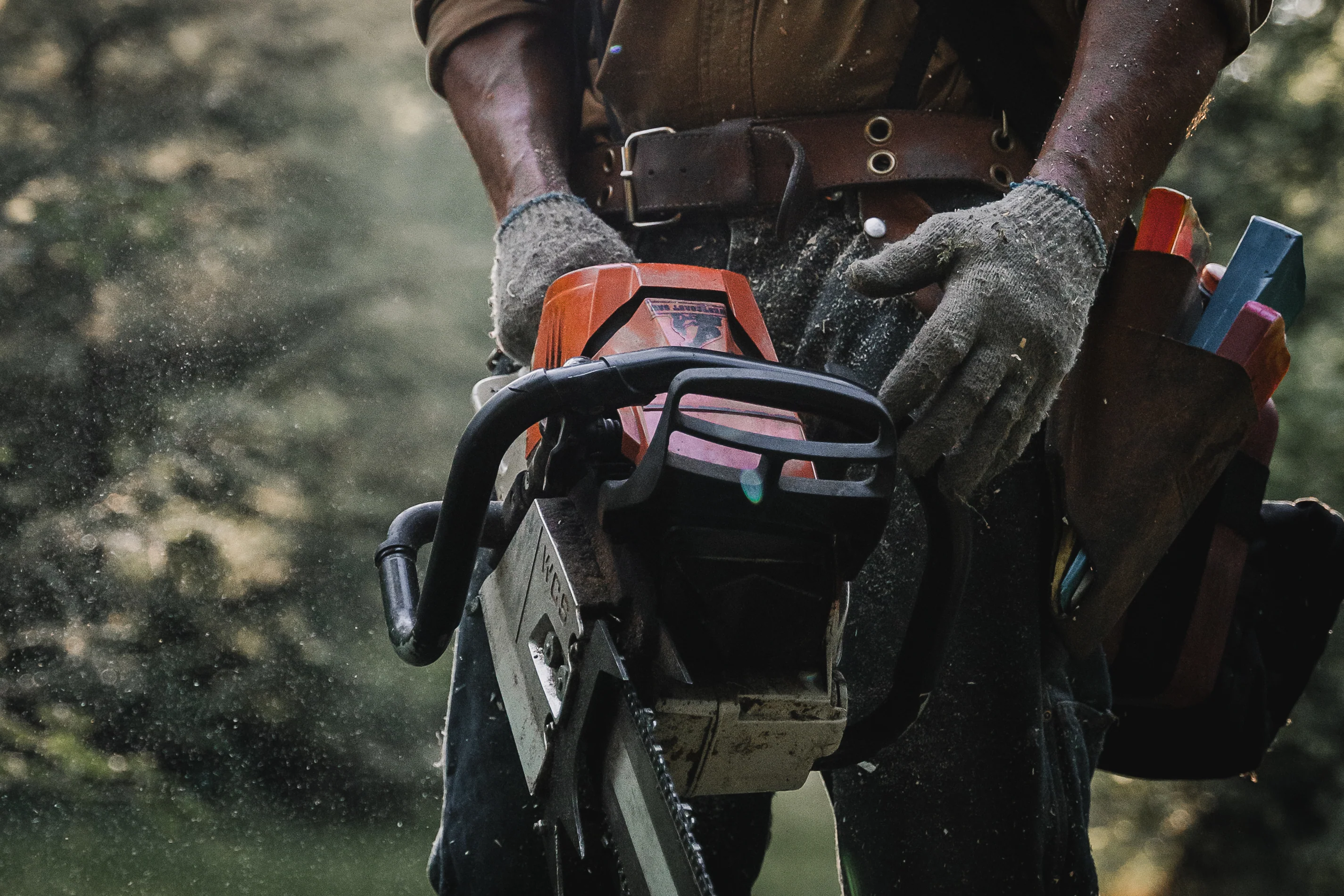 Westcoast Saw Leather Belt - Image 3