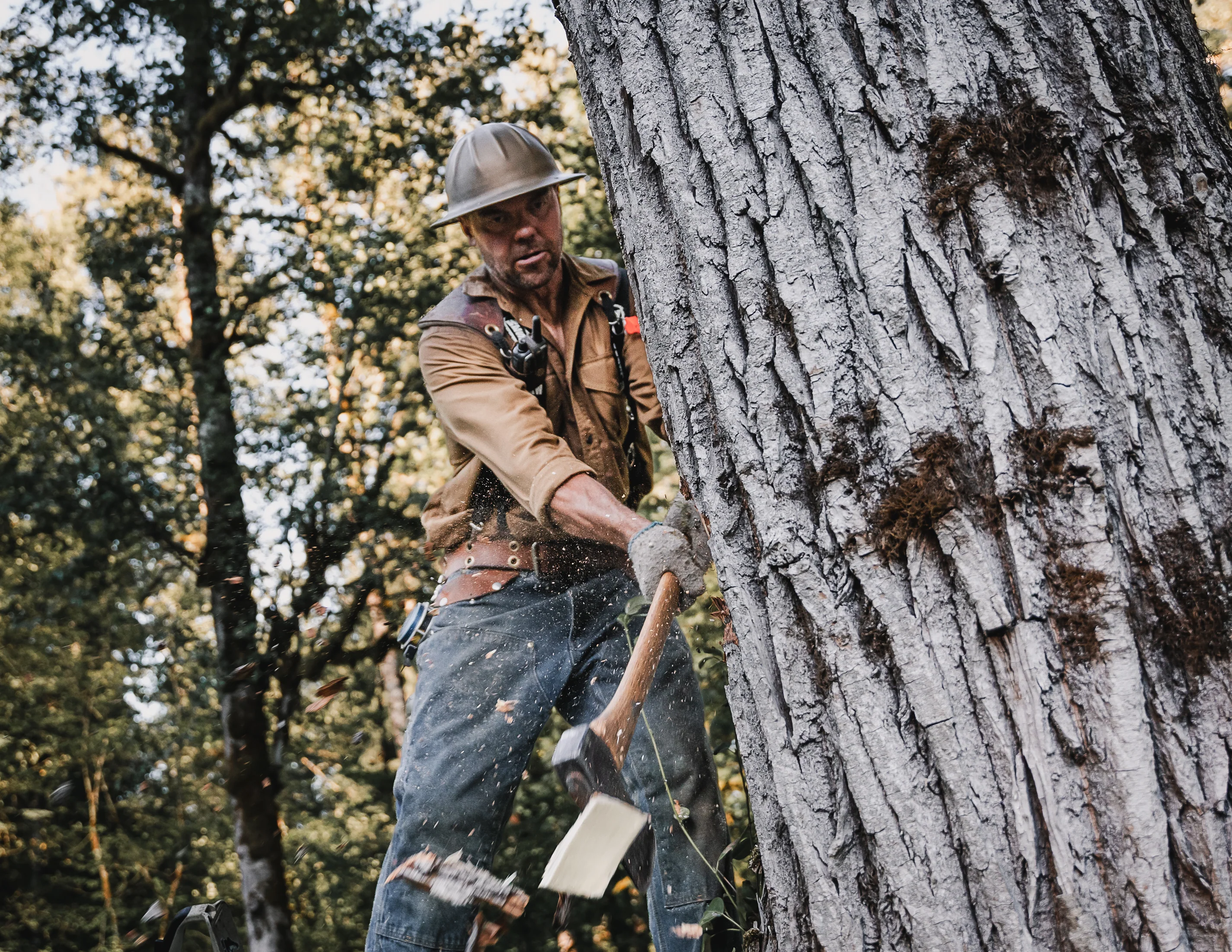 Westcoast Saw Leather Belt - Image 4