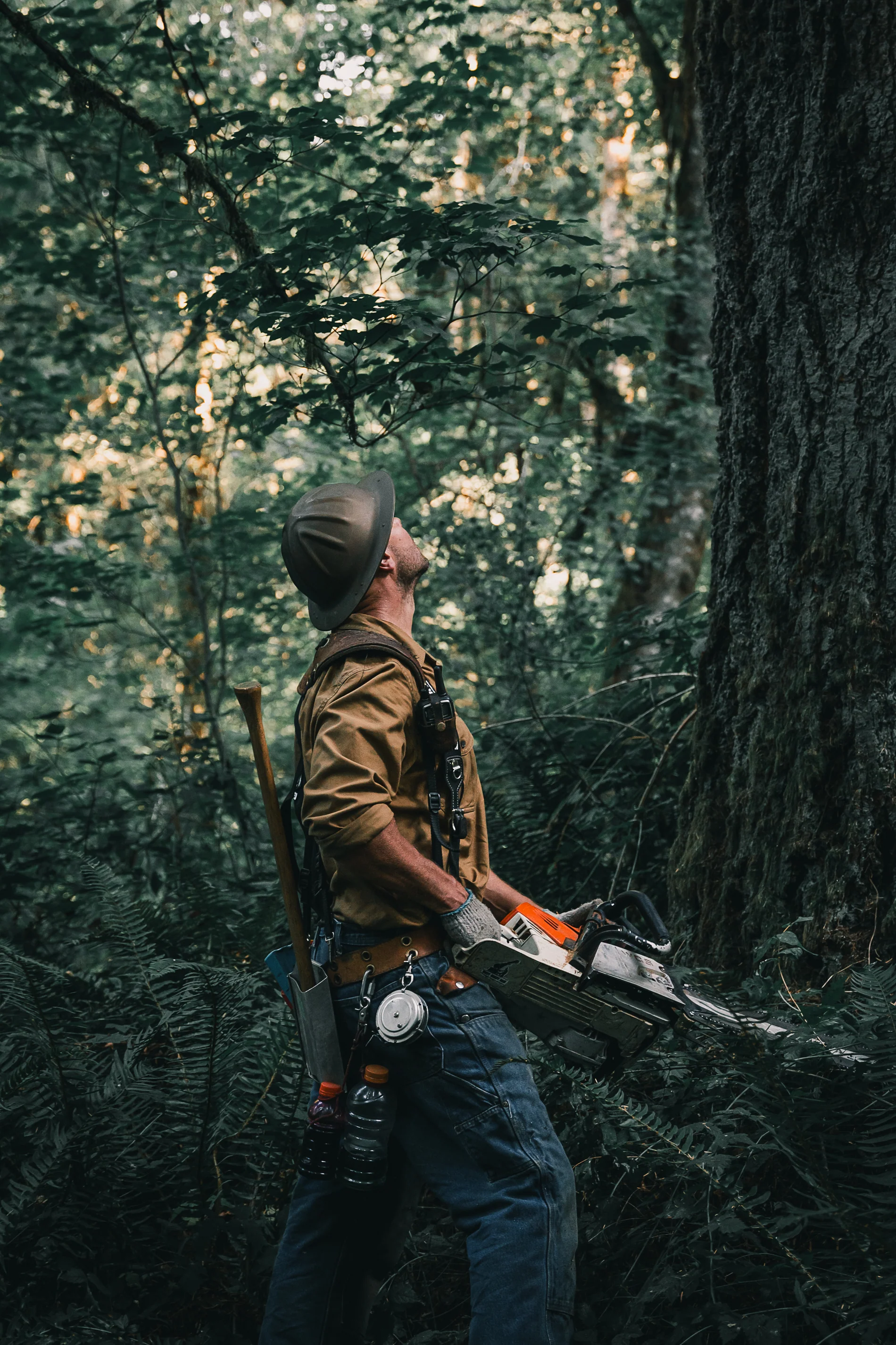 Spencer Logging Tape - Image 3