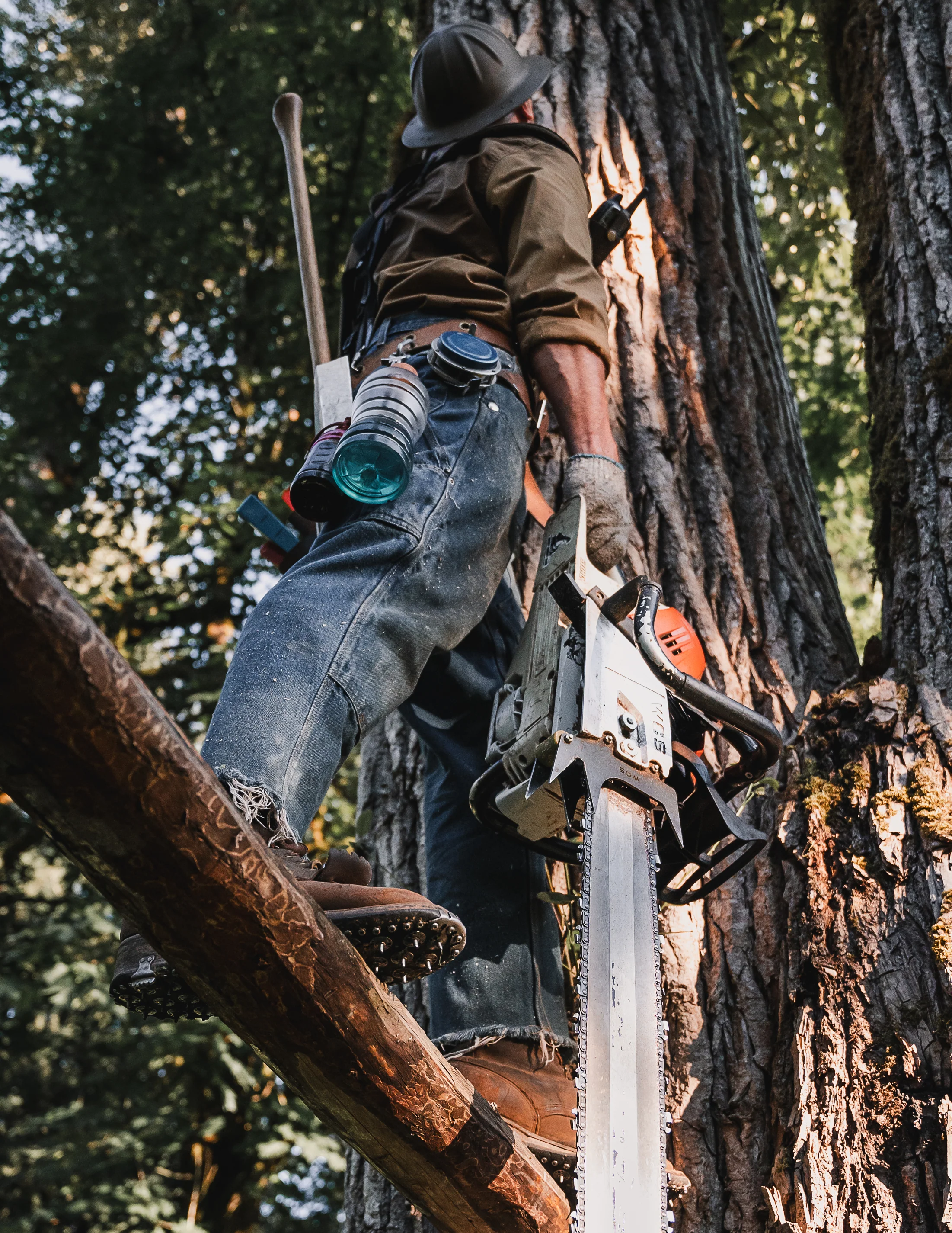 Spencer Logging Tape - Image 4